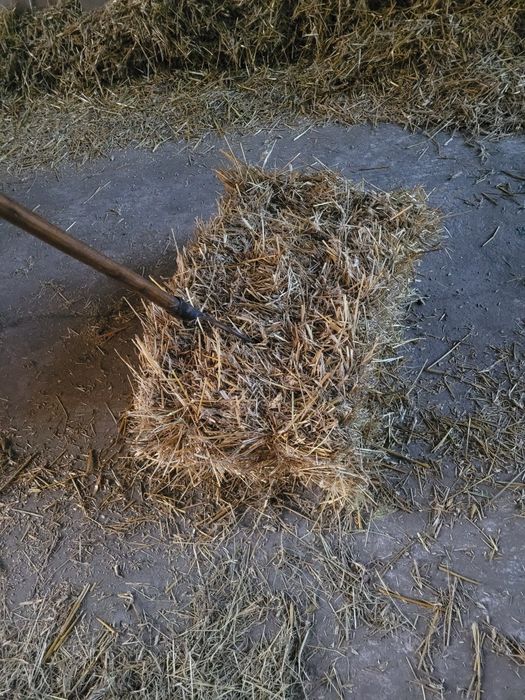 Sprzedam słomę owies/pszenzyto