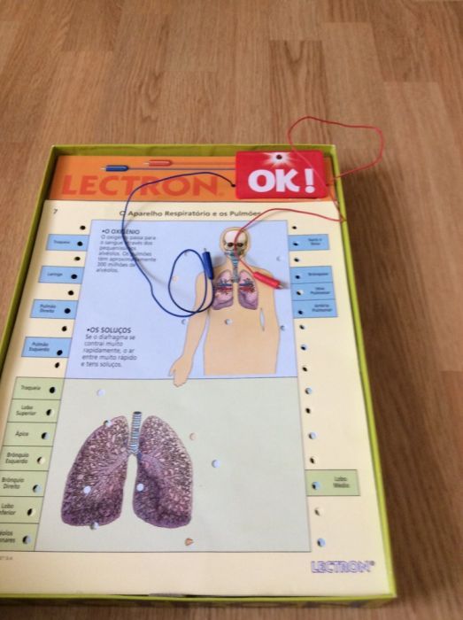 Jogo Letron corpo humano