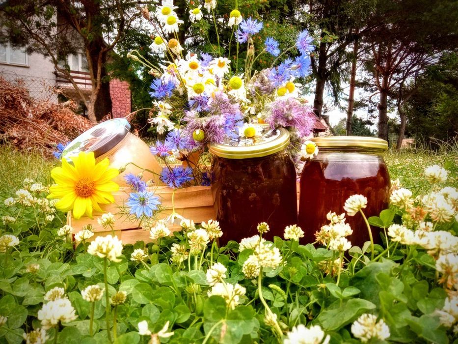 Sprzedam miód z własnej pasieki