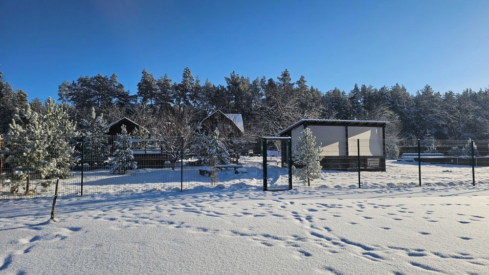 Оренда будинку біля лісу з басейном, чаном та баньою Green Hills Villa