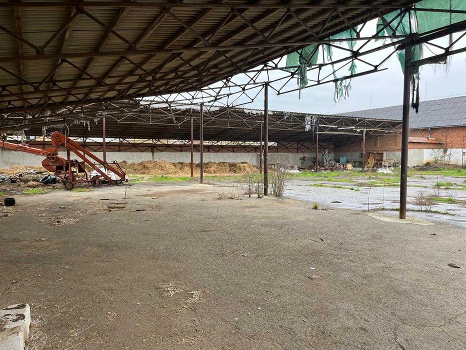 Склад 2500 м2 Закарпаття