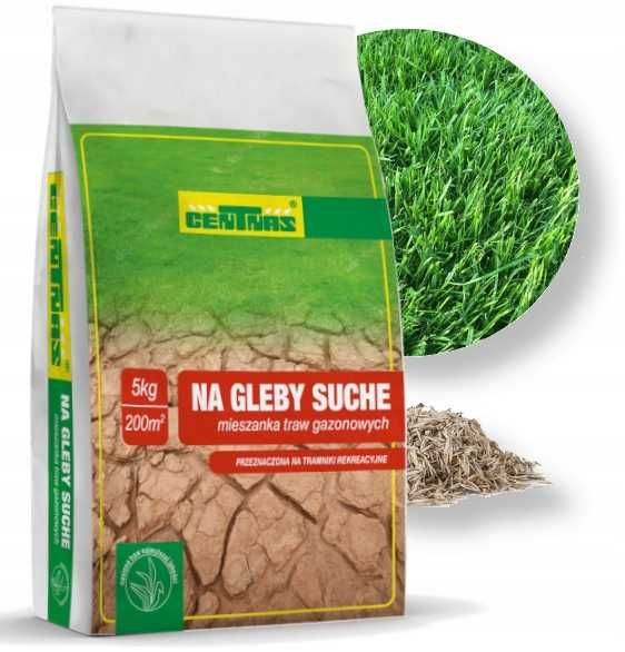 Centnas Trawa Na Tereny Suche Nasiona Trawnik 5kg