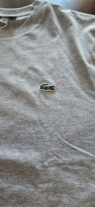 Lacoste t shirt cinza