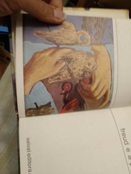 Freud e a Psicanàlise-1-edicao-B.S.G.T.- 8E- Brinco antigo-3E Desde 3E