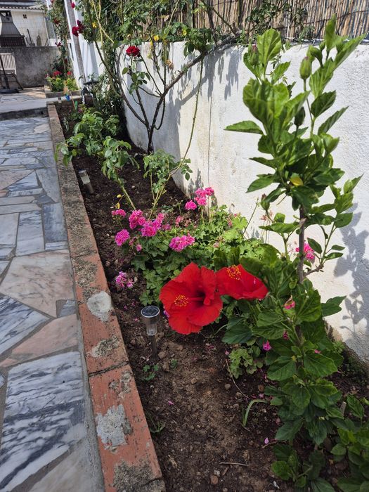 Manutenção de jardins na zona cascais/estoril/oeiras