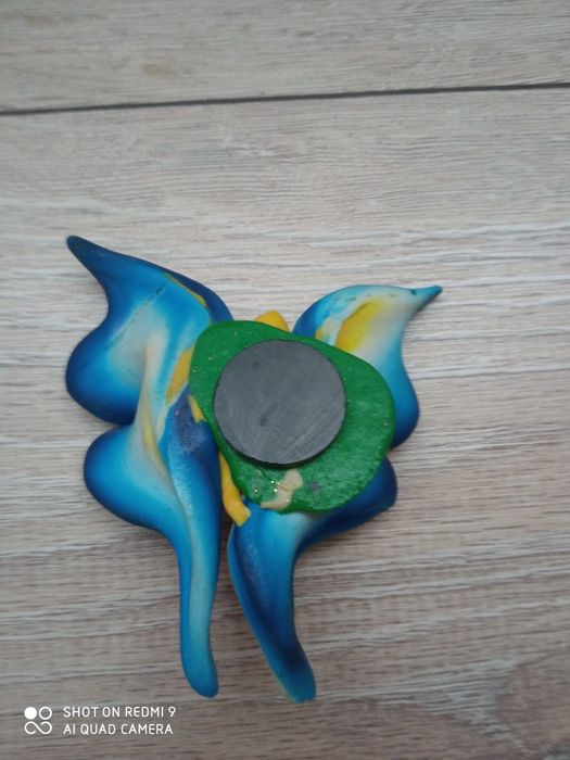 Magnes motyl kolorowy