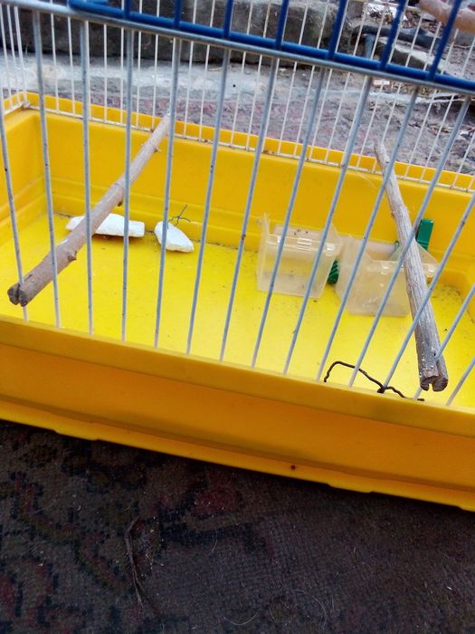 Продается Клетки для птиц