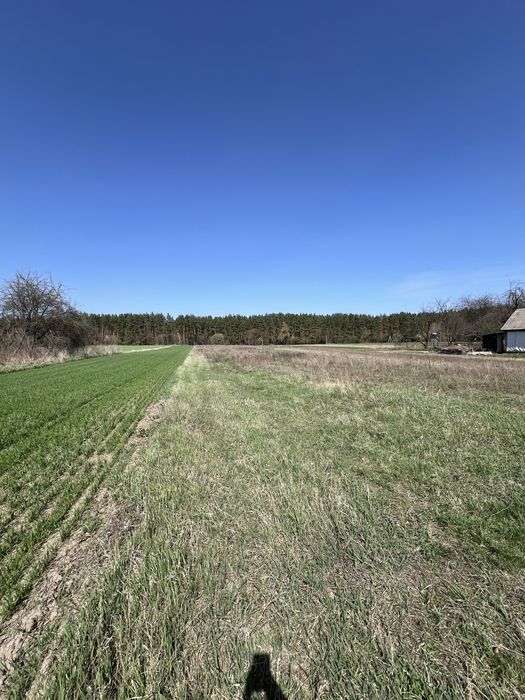 Продаж Земельна ділянка. Без комісії %