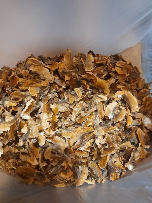 Перегородка грецького горіха