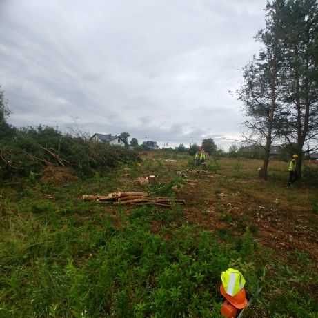 Usługi rębakiem rozdrabnianie zrębkowanie mielenie gałęzi drzew pni