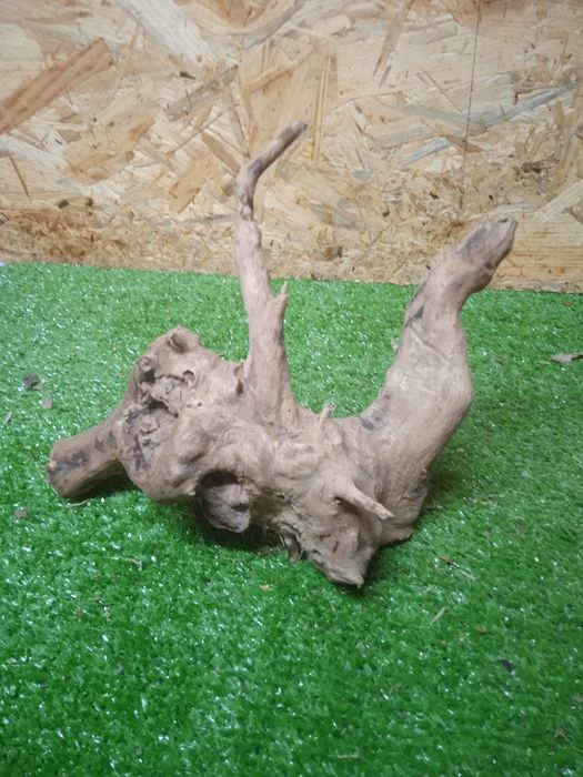 Korzeń do akwarium Red Moore Wood nr 492 o wymiarach 19/15/17