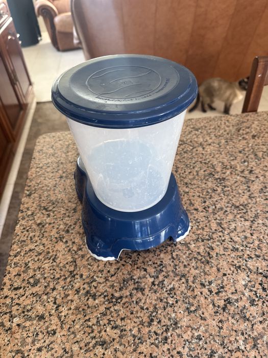 Bebedouro Gato/Cão