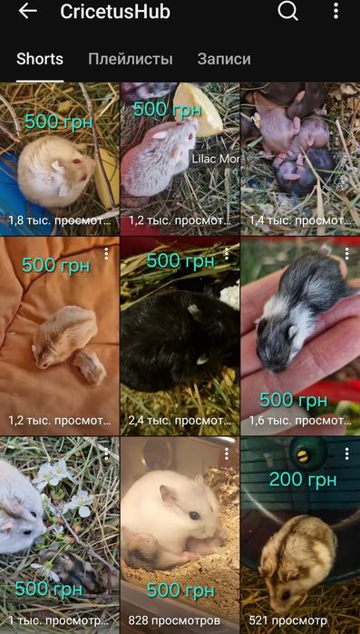 Обирайте по фото з ціною та відео на нашому ю-туб каналі