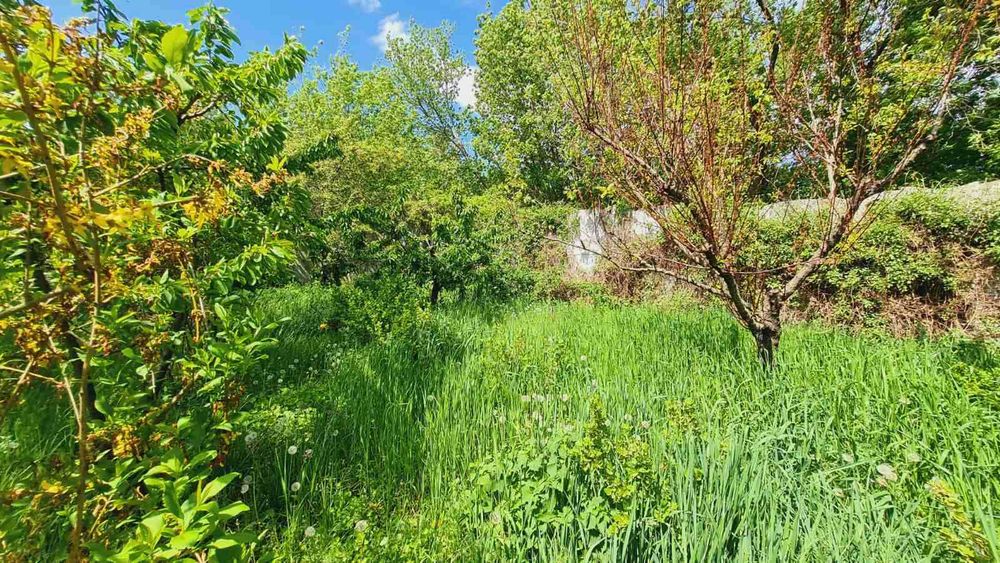 Продам БУДИНОК  в с. ЧИКАЛІВКА під ДАЧУ. 13000