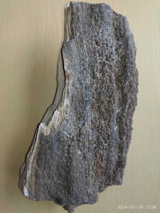 Скам'яніле дерево