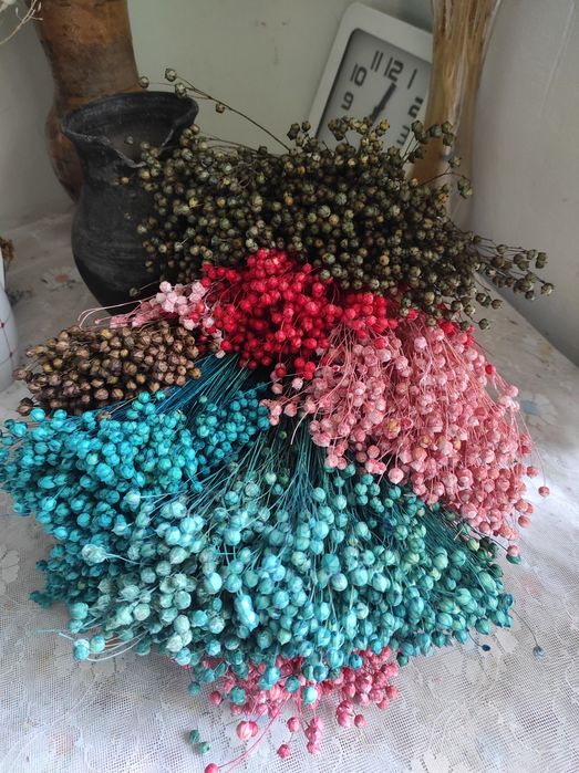 Сухоцвіти Льон.  Сухоцветы Просо кермек врсянка