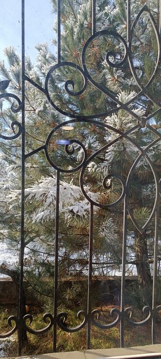 дом с подземным этажом, расположенный на первой береговой линии Днепра