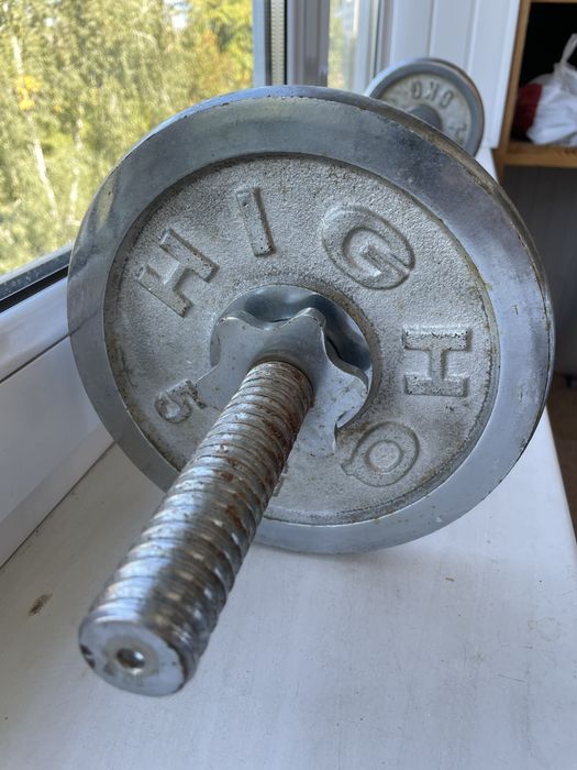 Штанга з кривим грифом