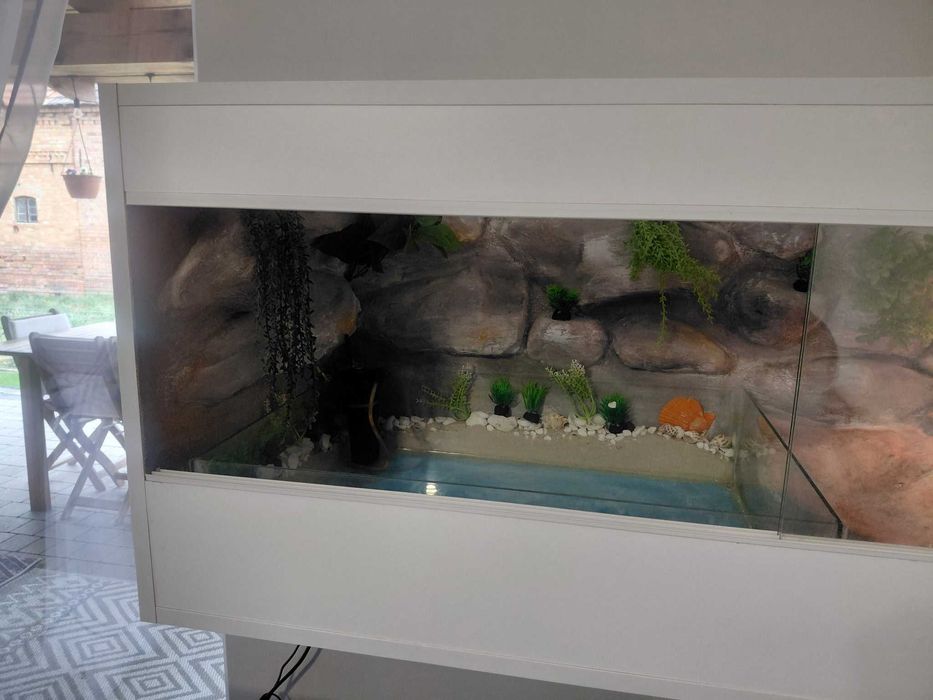 Terrarium dla żółwia