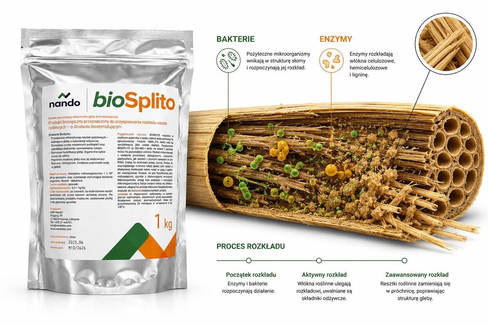 Biosplito na rozkład resztek pożniwnych, Mikrobiologiczny Rozkład Słomy