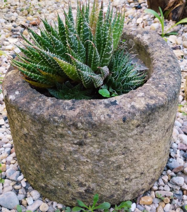 Pias redondas rústicas antigas