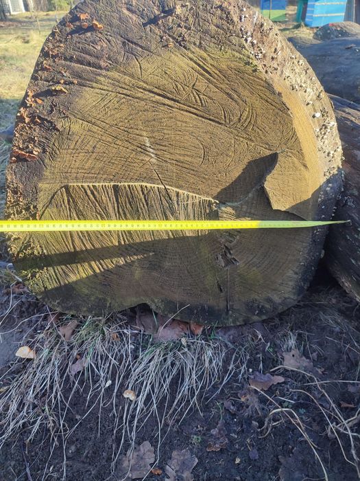 Кругляк дуба, пиломатеріали.