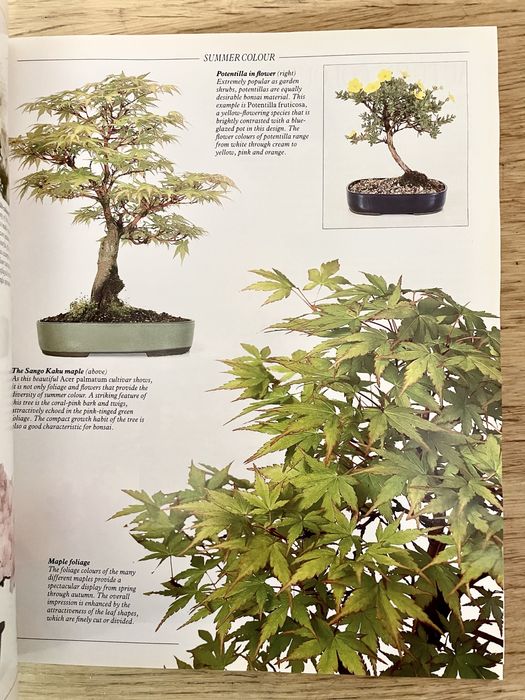 THE COMPLETE BOOK OF BONSAI