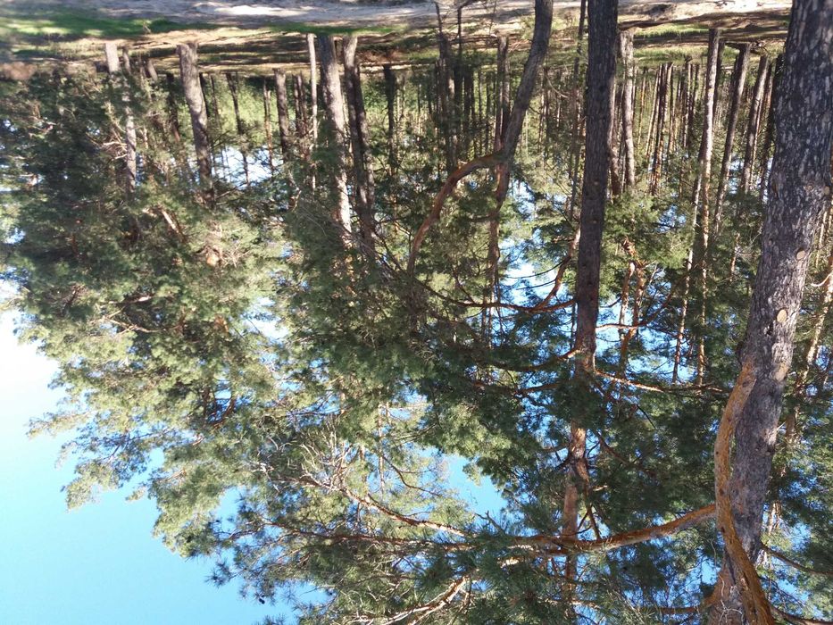 Власник. Біля річки та лісу Хотянівка. Вишгород. Новий будинок 99 м2+