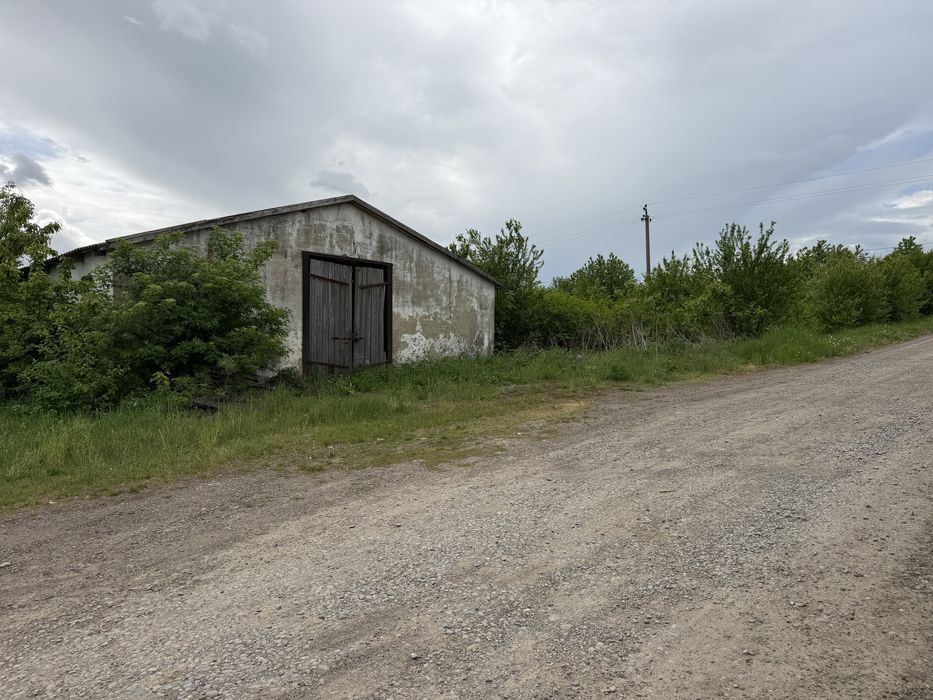 Земельна ділянка з приміщенням колишнього телятника