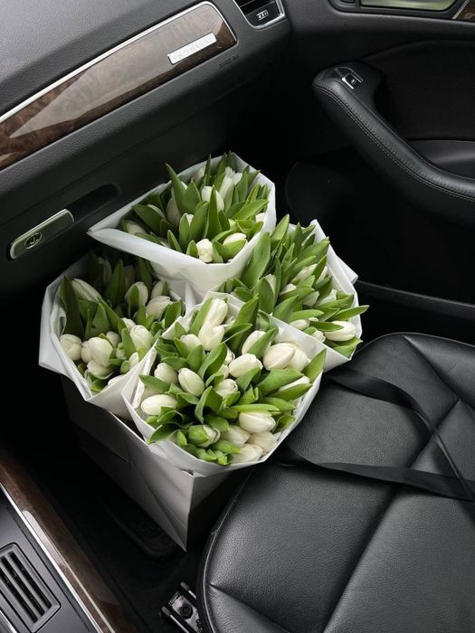 Тюльпан Оптом Голландія/Склад/Самовивіз