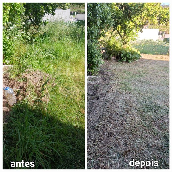 Limpeza de terrenos e manutenção de jardins