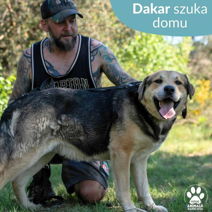 Dakar czeka na Ciebie