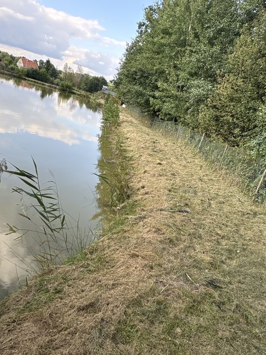 Zdjęcie 3