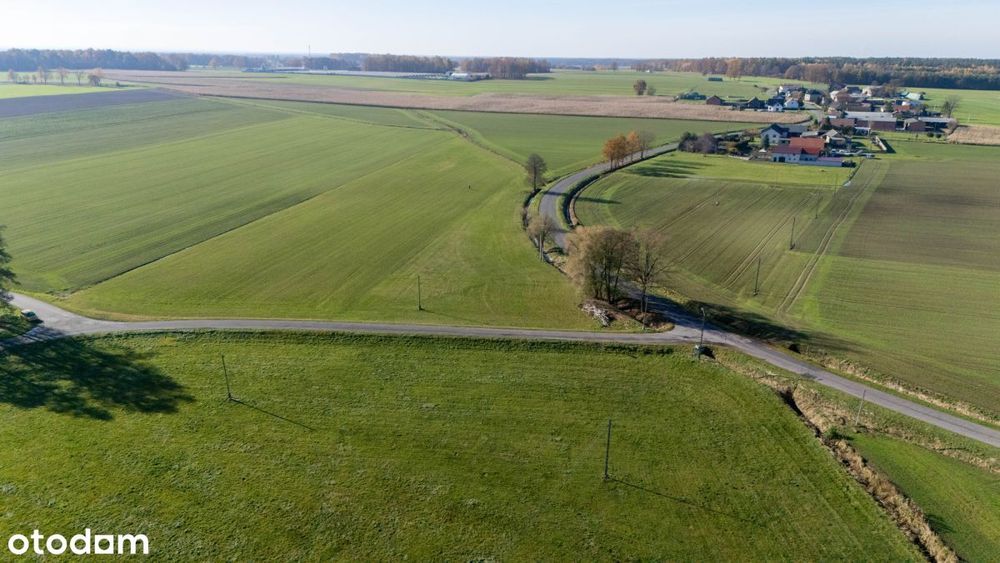 Działka budowlana Dzielna 1448 m² - Więcej