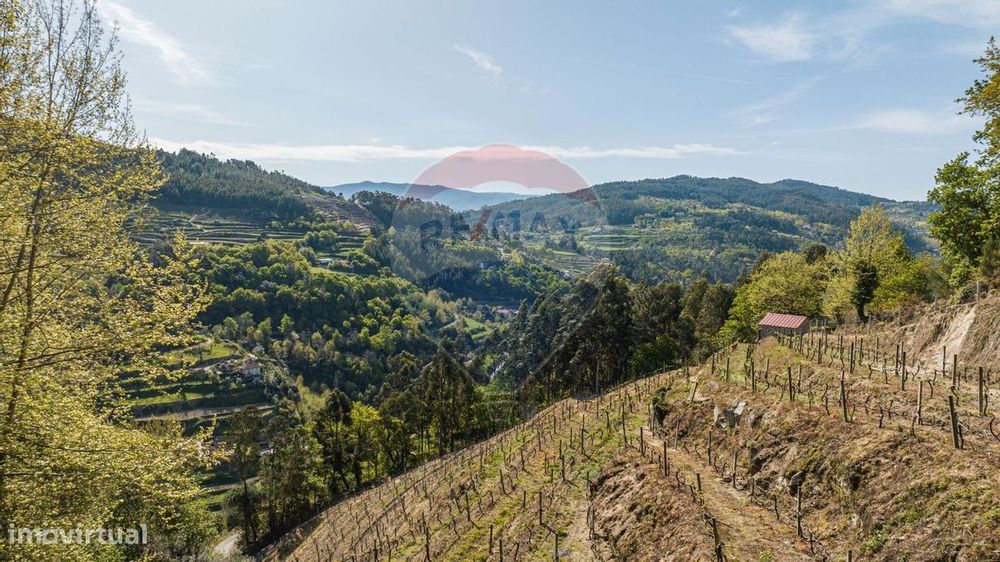 Terreno  para venda — Caçarilhe E Infesta, Braga