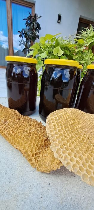 Miód  spadźowy bardzo dobry
