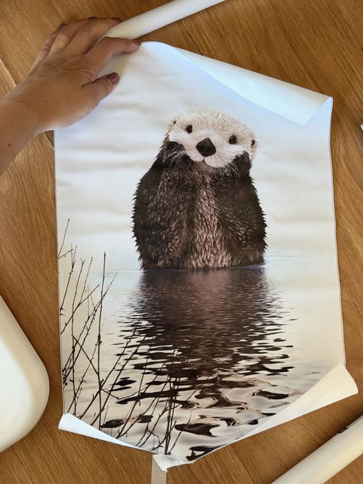 Poster lontra em tecido