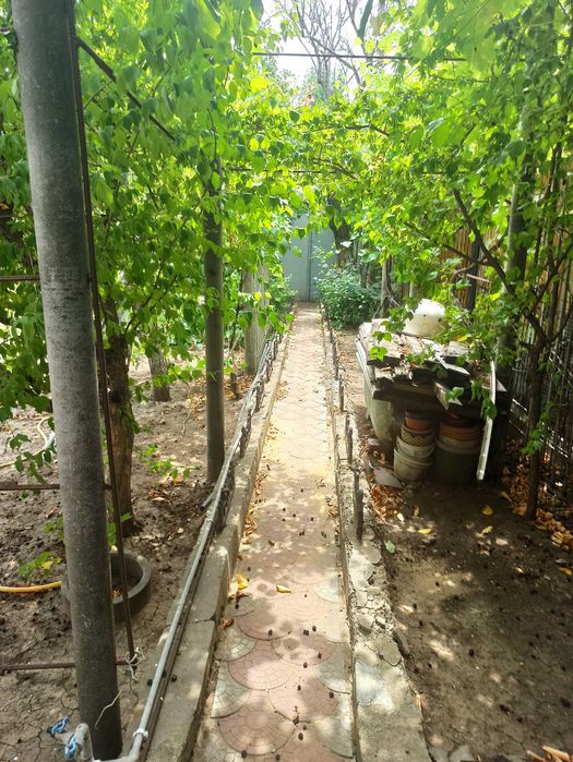 (13) Продам крепкий дом в Сухом Лимане 2 этажа