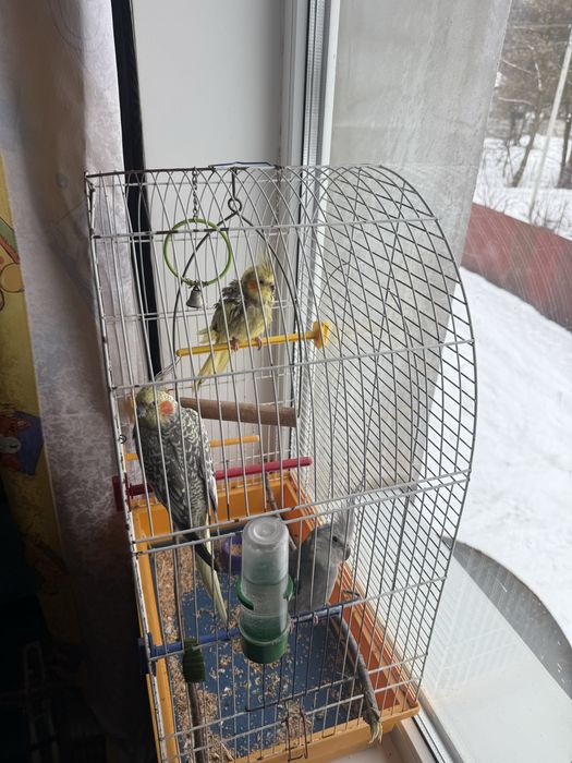 Клетка для попугаев