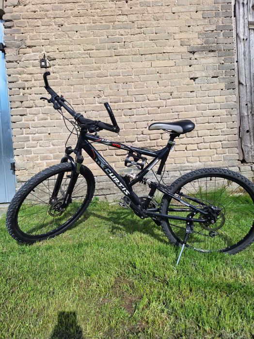 Rower MTB Curtis