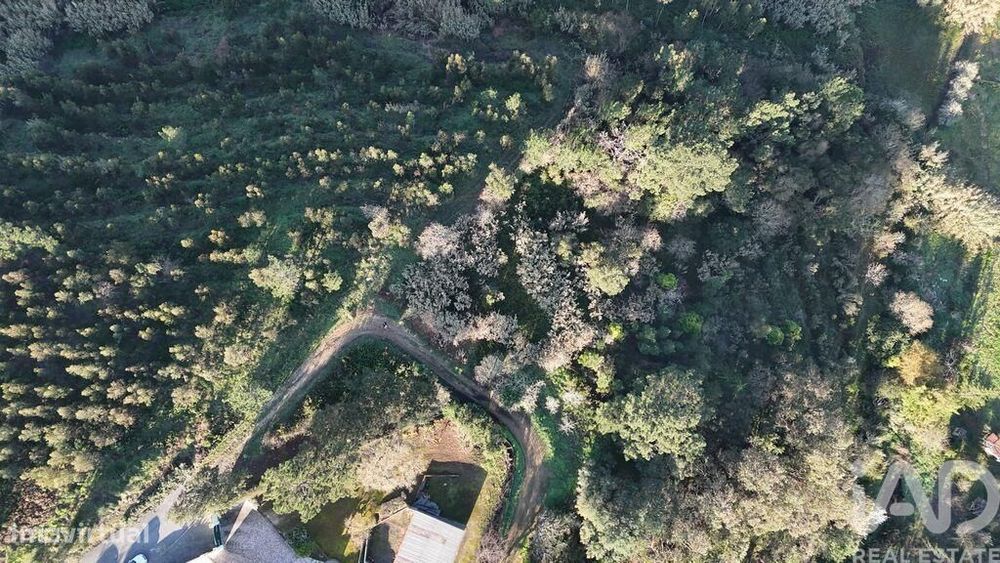 Terreno Agrícola em Mafra