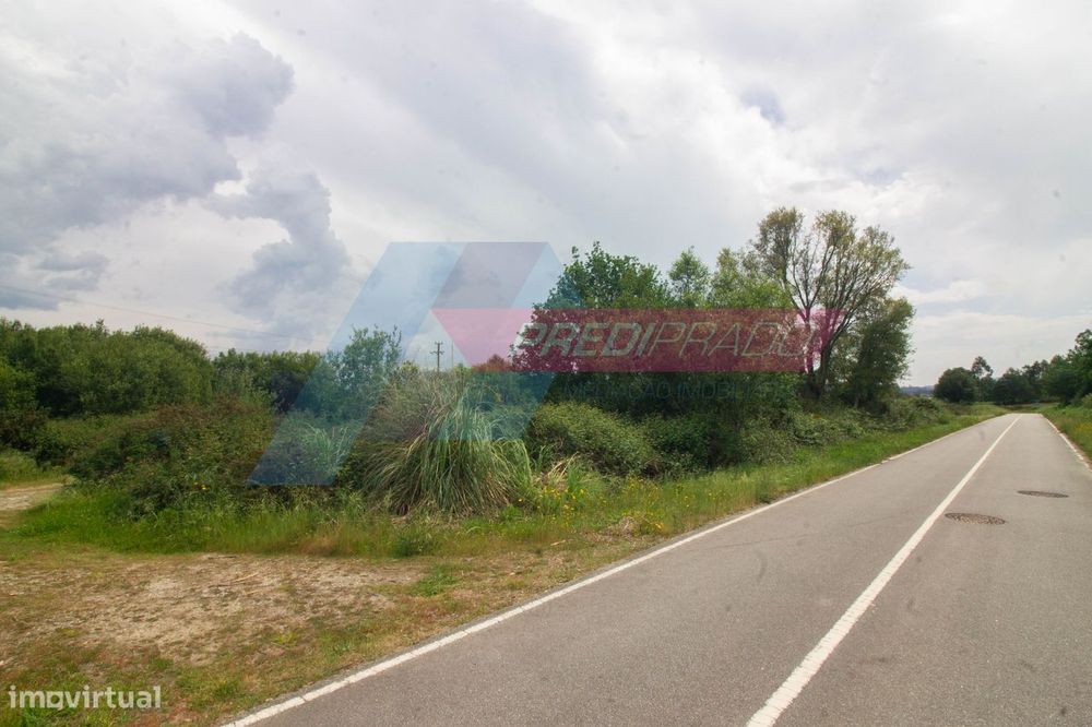 Terreno com 10500m² em Cabanelas