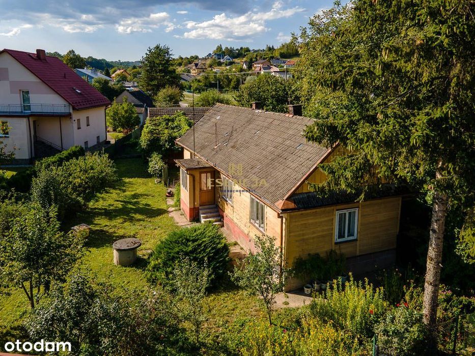 Działka budowlano-usługowa, Biczyce Dolne - Widok 2