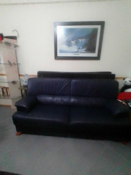 Sofá 3 lugares em pele bom estado conservação - 250€ - Negociável
