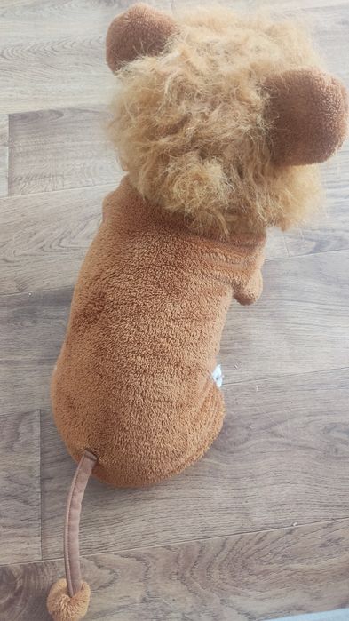 Комбез для маленькой собаки