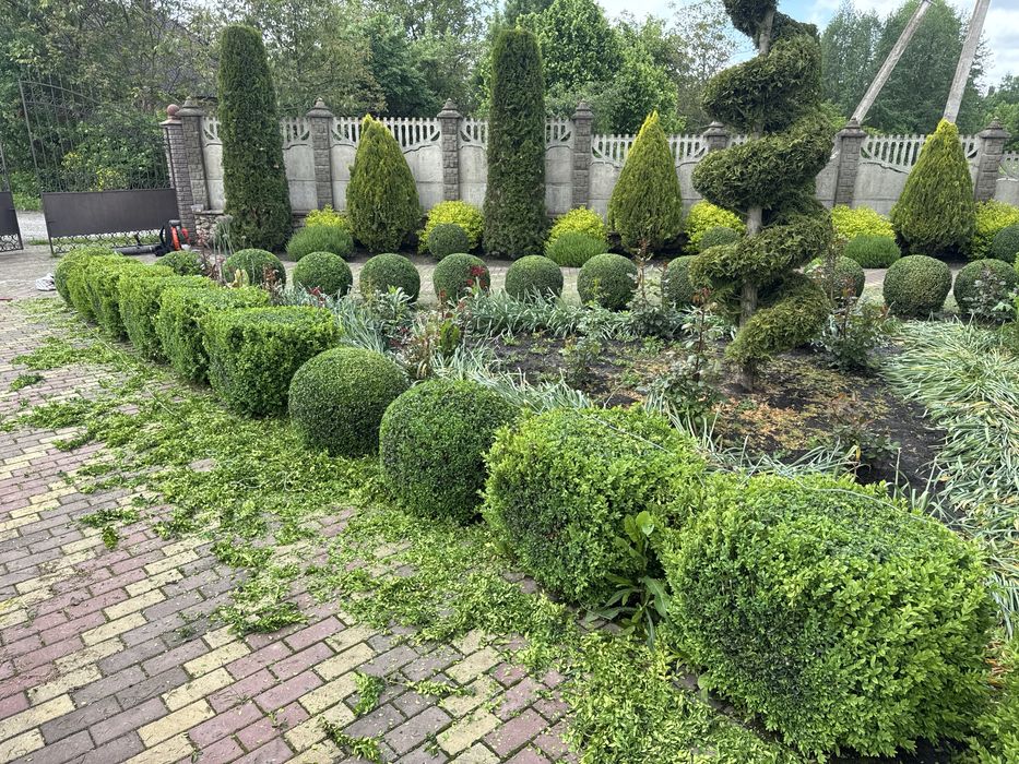 Професійний Садівник