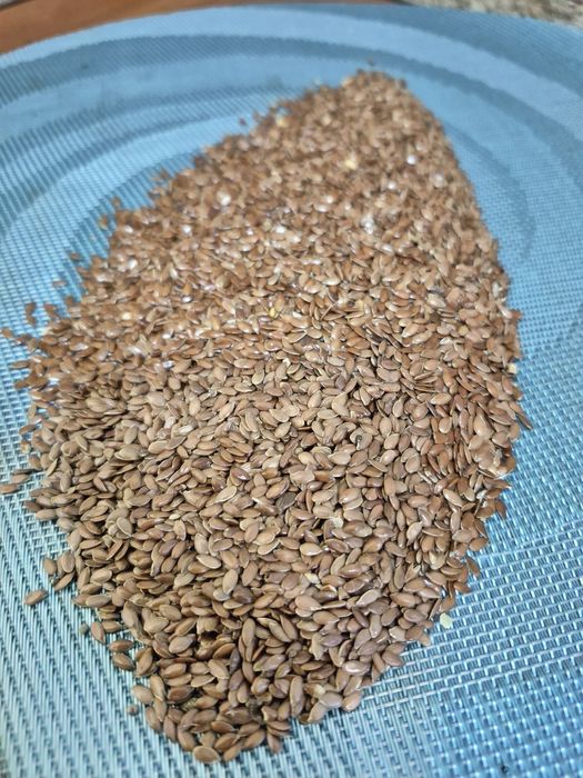 Льон насіння продам