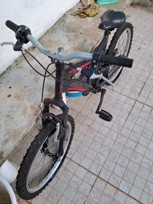 Bicicleta de criança TEAM - DS 220