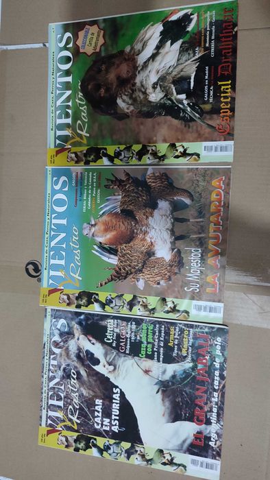 Lote 23 Revistas de Caça Vientos y Rastro