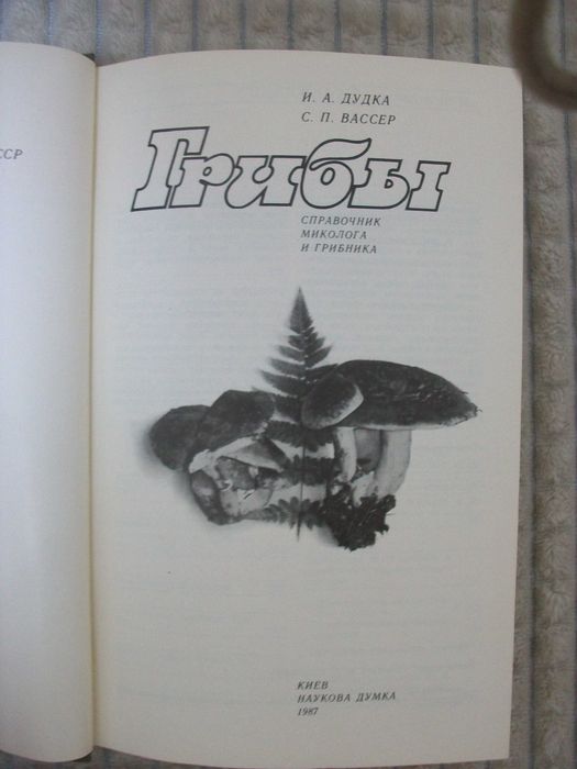 Дудка, Вассер "Грибы"